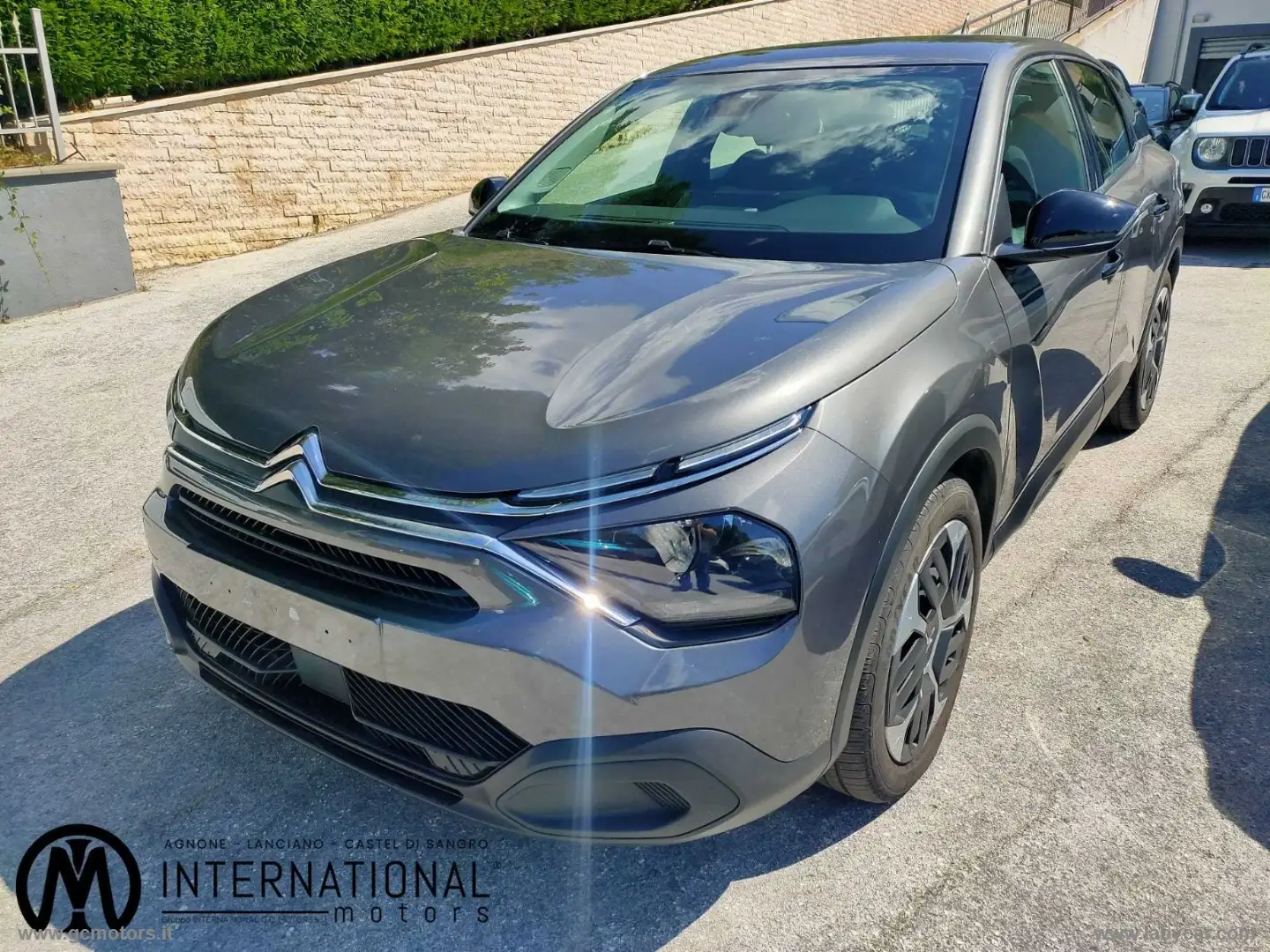 Citroen C4 PureTech 100 S&S You Grigio - 1