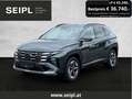 Hyundai TUCSON Tucson 1,6 T-GDI PHEV 4WD Jubilé Aut.* € 36.740... Grün - thumbnail 1