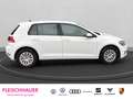 Volkswagen Golf VII 1.0 TSI Trendline AHK Tempomat Climatronic Weiß - thumbnail 7