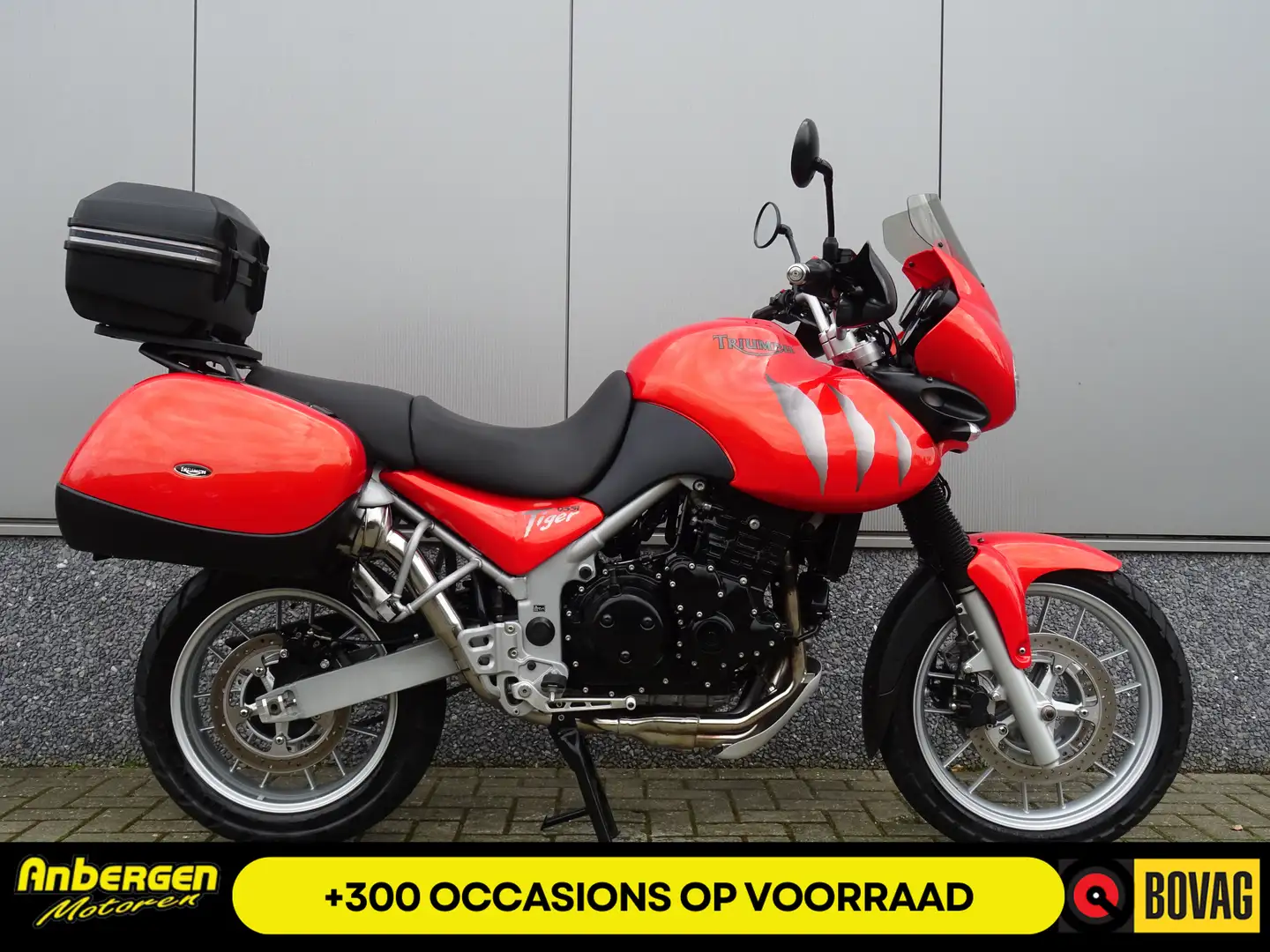Triumph Tiger 955i Orange - 1