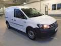 Volkswagen Caddy 2.0TDI Nfz Kasten EcoProfi BMT Klima*PDC* Weiß - thumbnail 12