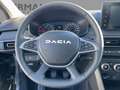 Dacia Sandero Stepway Extreme+ TCe 110 Fahrerairbag ZV Schwarz - thumbnail 11