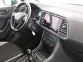 SEAT Ateca 1.0 TSI Reference AHK SITZHZG TEMPOMAT PDC Grau - thumbnail 12