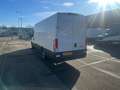Iveco 35S16V L4H2 Hi-Matic Blanc - thumbnail 7