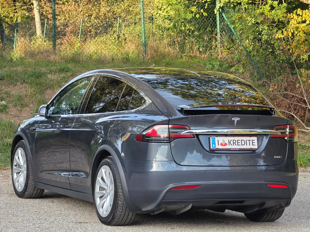 Tesla Model X Performance Dual – Bild 4