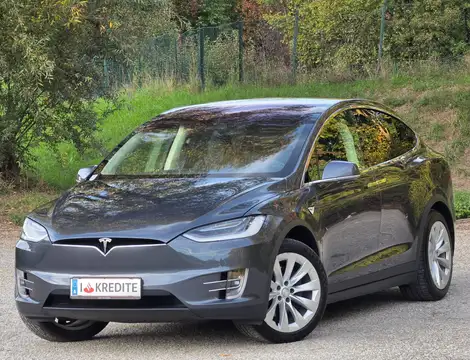 Tesla Model X Performance Dual