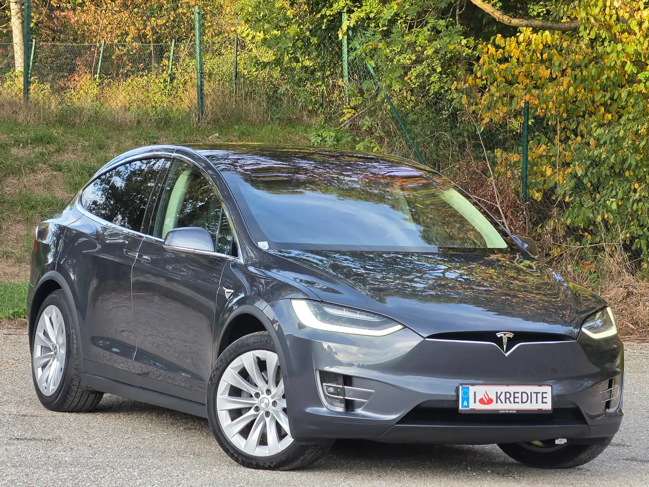 Tesla Model X Performance Dual – Bild 3