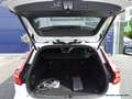 Volvo V60 T6 AWD Recharge Geartronic R-Design Bianco - thumbnail 6