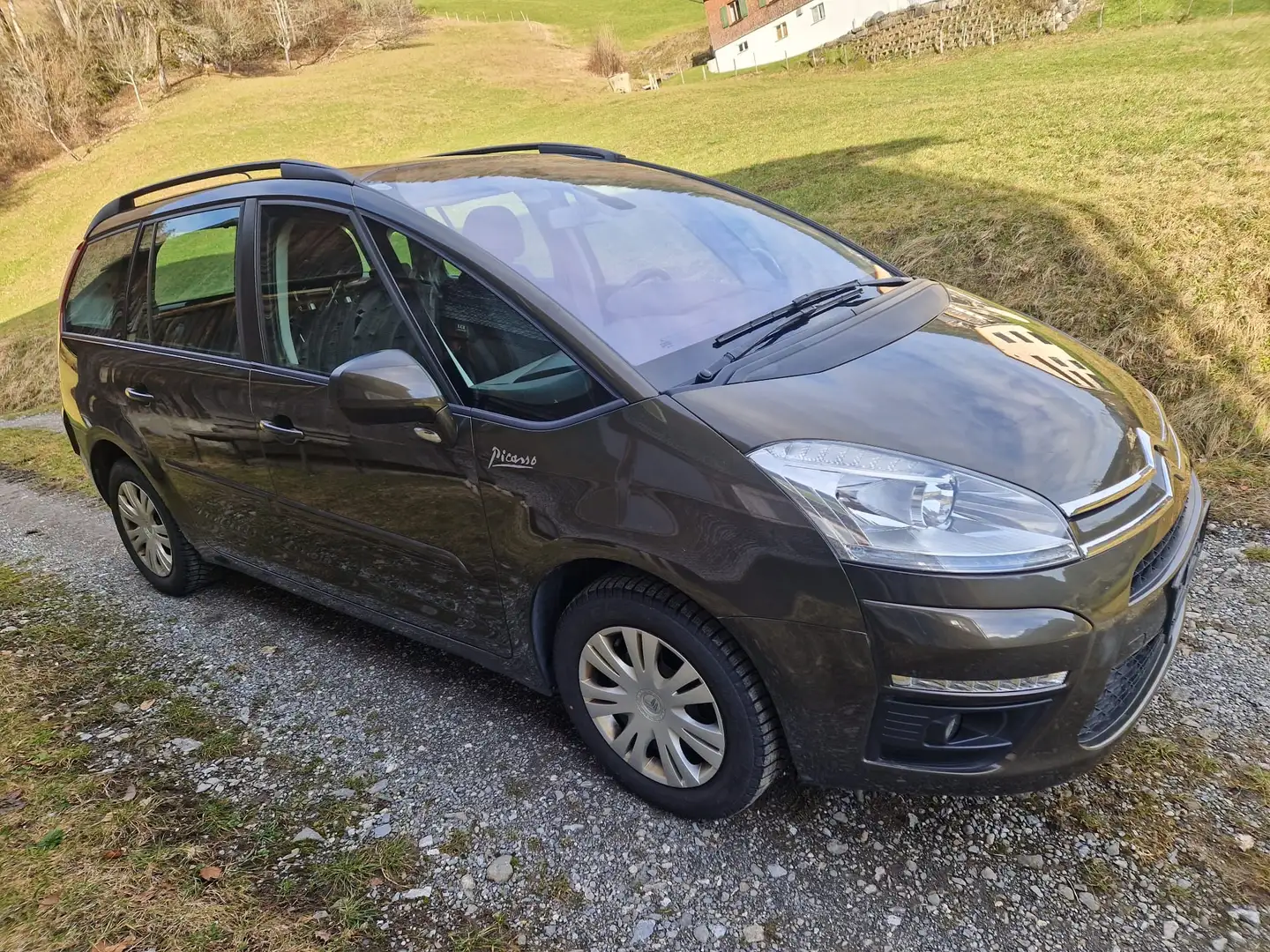 Citroen C4 Picasso C4 Picasso 1,6 Selection HDi FAP Selection Braun - 2
