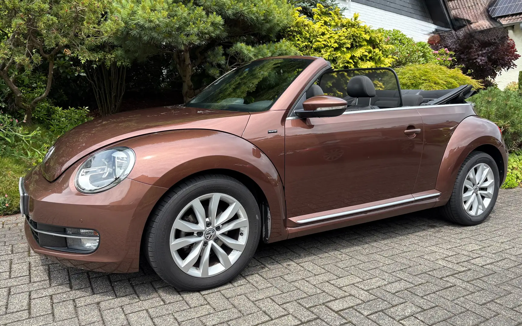 Volkswagen Beetle The Beetle Cabriolet 1.2 TSI DSG BlueMotion Techno Marrone - 1