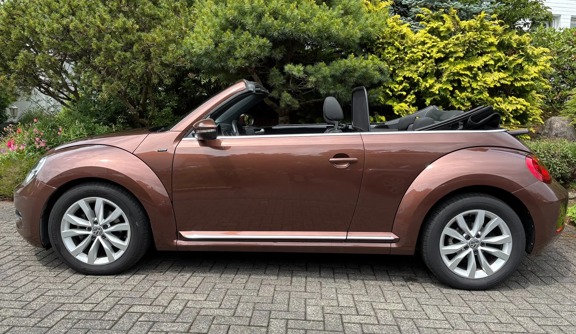 Volkswagen Beetle The Beetle Cabriolet 1.2 TSI DSG BlueMotion Techno Marrone - 2
