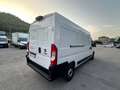 Fiat Ducato furgone 35q lh2 160cv 2.2 multijet 3 e6d Weiß - thumbnail 3