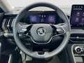 Skoda Kodiaq Selection 4x4 TDI DSG|7-S|PANO|AHK|5J-GAR Grau - thumbnail 13