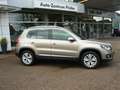Volkswagen Tiguan Life 4Motion 2,0l TSI+AHK+Tempomat+Sitzh. Beige - thumbnail 3