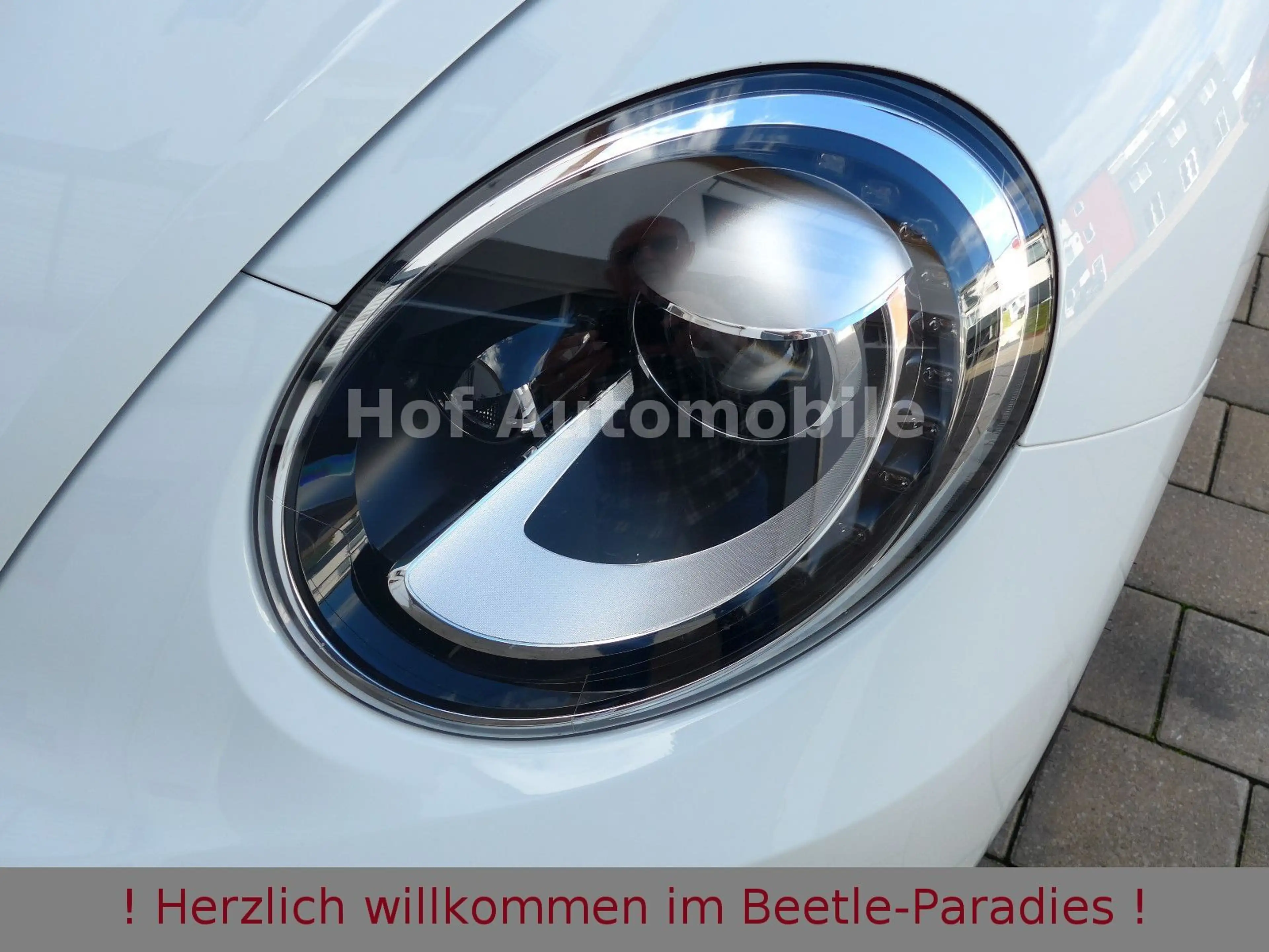 Volkswagen Beetle 1.2TSI DSG Sound-Plus Xenon Fender AppCo. — photo 14