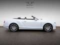 Bentley Continental GTC Speed Weiß - thumbnail 2