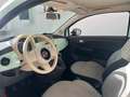 Fiat 500 500 III 1.2 easypower Pop Gpl 69cv E6 Grün - thumbnail 11