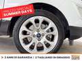 Ford EcoSport 1.0 ecoboost titanium s&s 125cv my20.25 Bianco - thumbnail 15