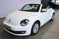 Volkswagen Beetle Cabriolet 1.2 TSI Design BlueMotion Cruise control Wit - thumbnail 14