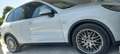 Porsche Cayenne Bianco - thumbnail 3