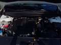 Kia Sorento Platinum 4WD 2.2 CRDi 1. Hand Automatik HUD Niveau Blanc - thumbnail 14