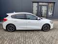 Ford Focus ST-Line Eco Boost Business Weiß - thumbnail 7