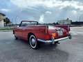 Lancia Appia Vignale - Targa Florio Rosso - thumbnail 9