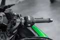 Kawasaki Ninja H2 SX SE Tourer, Mod2025, 4 JAHRE GARANTIE Zielony - thumbnail 7