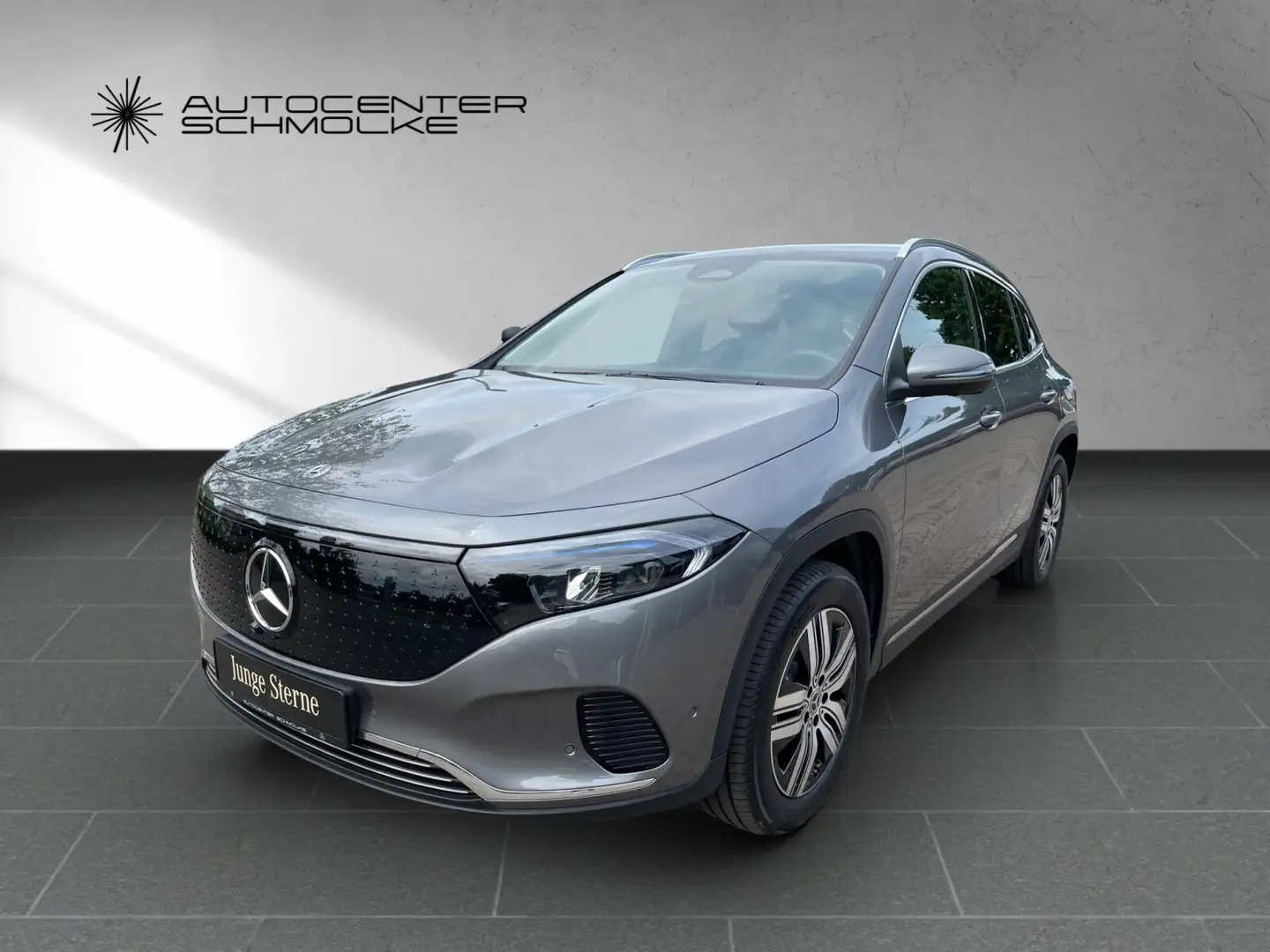 Mercedes-Benz EQA 350 EQA 350 4M Distronic*AHK*360°*Totwinkel*Winter-P Gris - 2
