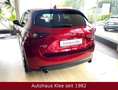 Mazda CX-5 Sports-Line AWD *AHK*Xenon*Camera*Tempo* Rot - thumbnail 13