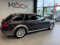 Audi A4 allroad 3.0 TDI (176kW) Grau - thumbnail 4