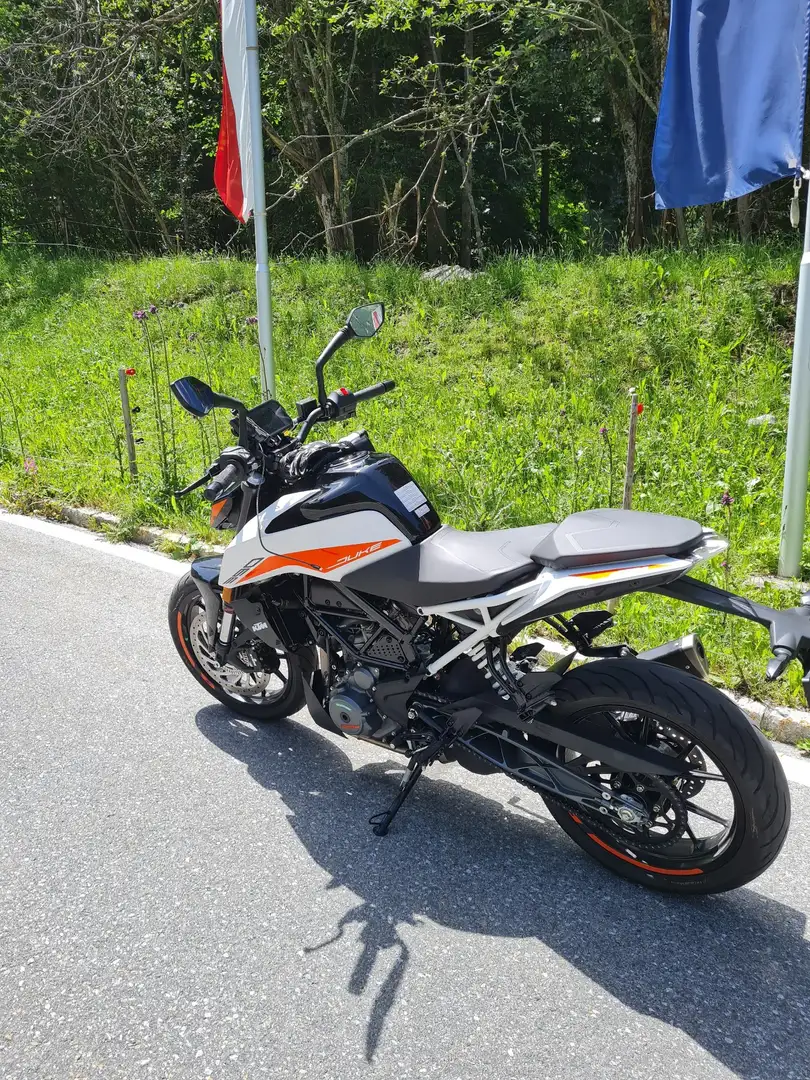 KTM 390 Duke Weiß - 2