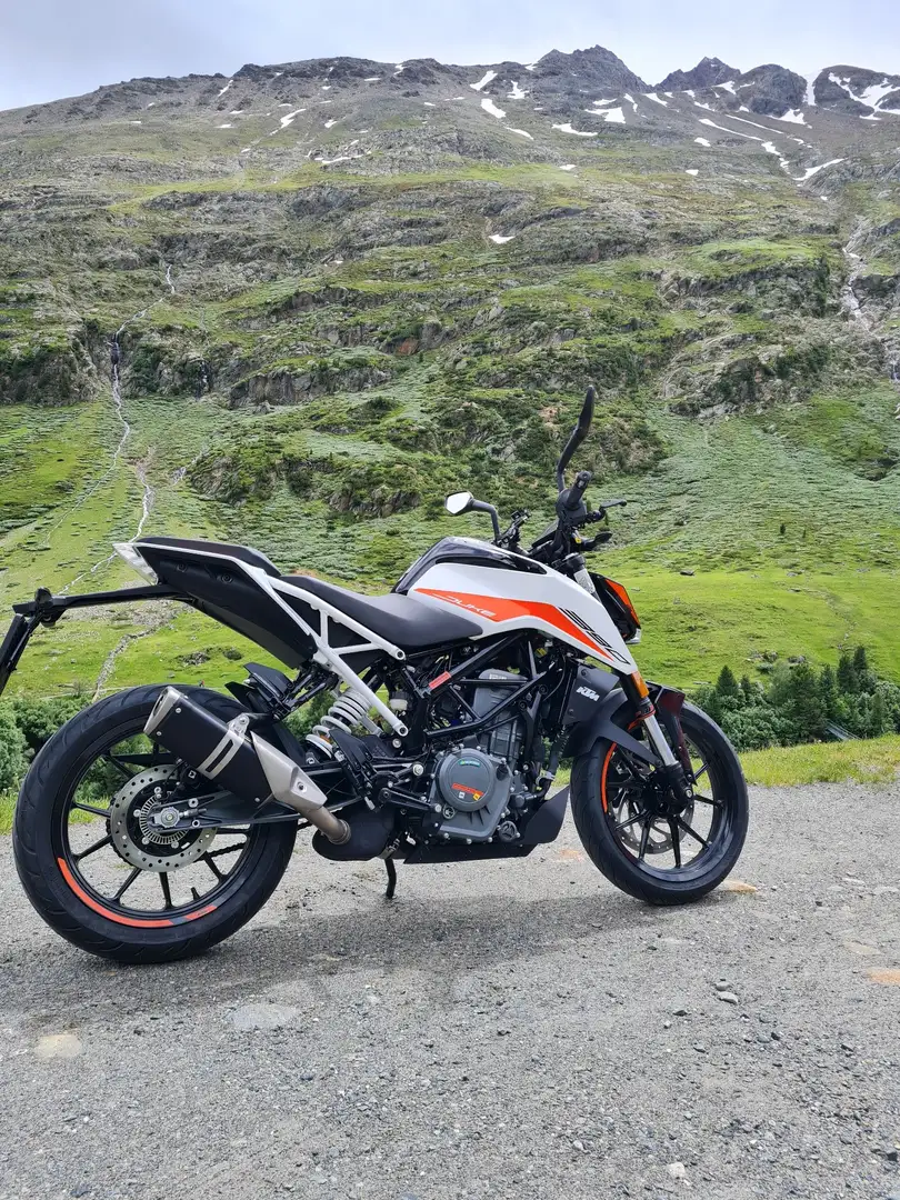 KTM 390 Duke Weiß - 1