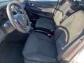 Renault Clio Clio dCi 8V 75CV 5 porte Van Energy Bianco - thumbnail 6