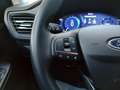 Ford Kuga 2.0 EcoBlue Automatica Titanium X Bleu - thumbnail 14