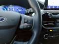 Ford Kuga 2.0 EcoBlue Automatica Titanium X Bleu - thumbnail 15