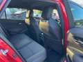 Toyota Corolla Touring 2.0 Hybrid *Standort Malente* Rot - thumbnail 12