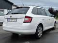 Skoda Fabia Fabia Combi Ambition 1,2 TSI Ambition Weiß - thumbnail 4