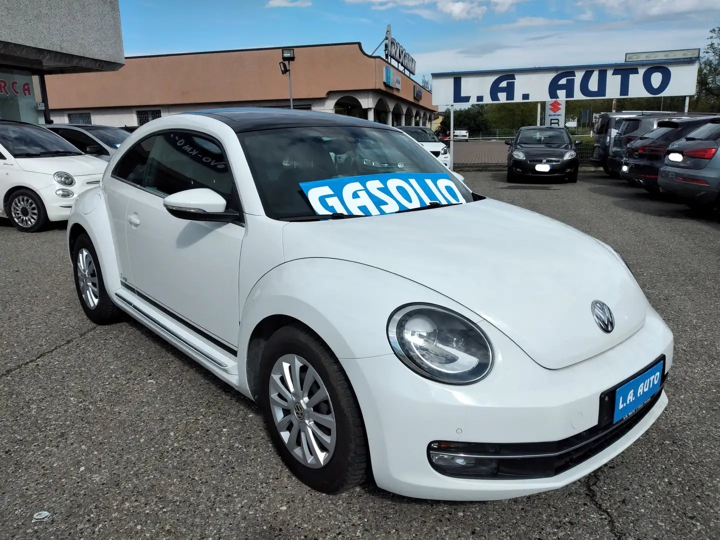 Volkswagen Maggiolino Maggiolino 1.6 TDI Design CUP 105cv DSG Alb - 2
