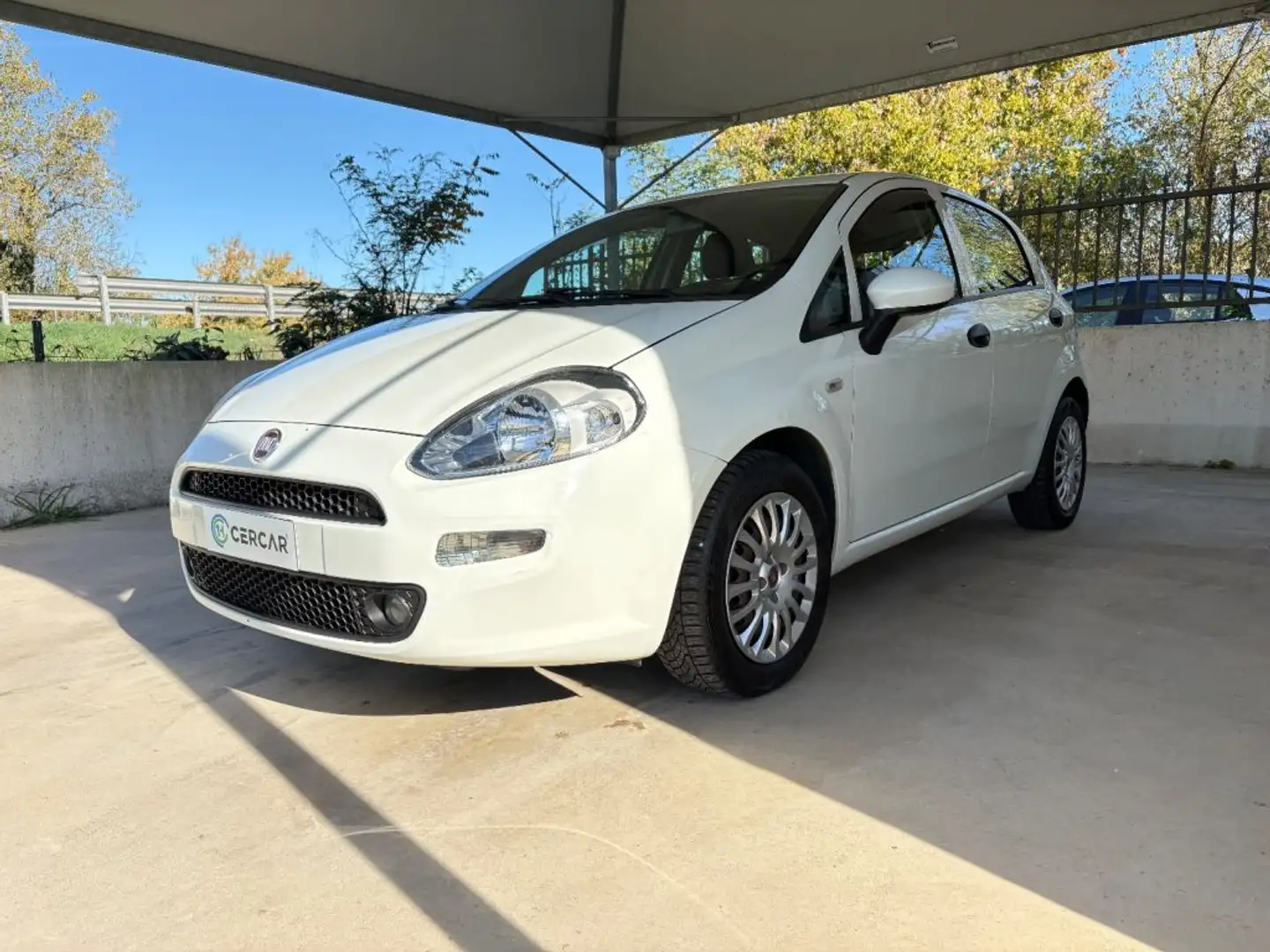 Fiat Punto 1.2 8V 5 porte Lounge EURO 6 TENUTA BENE Bianco - 1