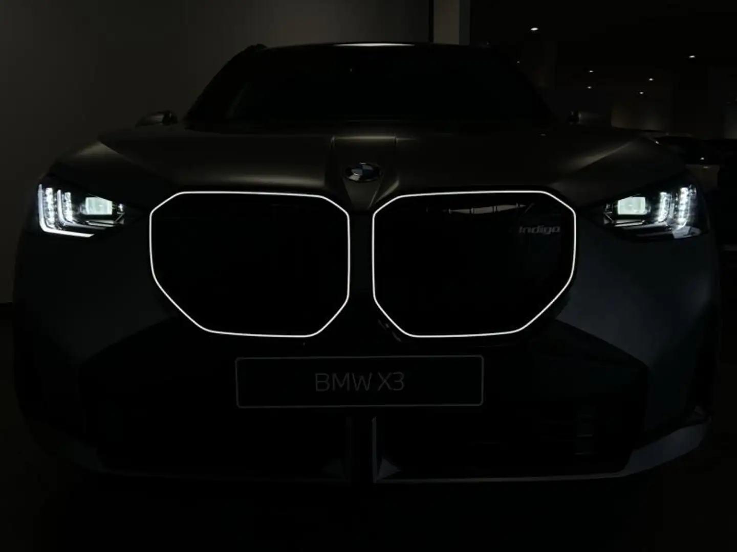 BMW X3 xDrive20 208ch M Sport Gris - 2