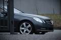 Mercedes-Benz E 350 E350 Cabrio Aircap/Airscarf/H&K/Vollleder/Kamera siva - thumbnail 1