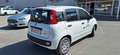 Fiat Pandina MY 25 FireFly Hybrid Weiß - thumbnail 3