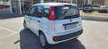 Fiat Pandina MY 25 FireFly Hybrid Weiß - thumbnail 4