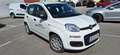 Fiat Pandina MY 25 FireFly Hybrid Weiß - thumbnail 2