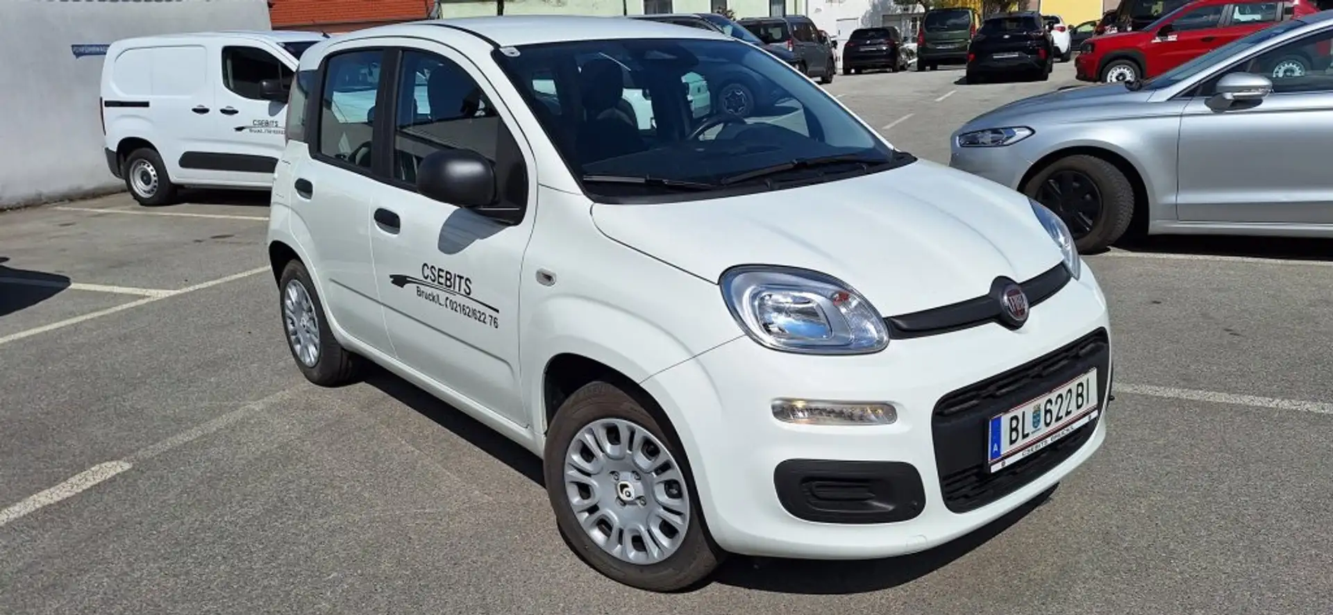 Fiat Pandina MY 25 FireFly Hybrid Weiß - 2