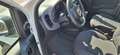 Fiat Pandina MY 25 FireFly Hybrid Weiß - thumbnail 5