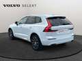 Volvo XC60 T5 AWD Inscription Blanc - thumbnail 24