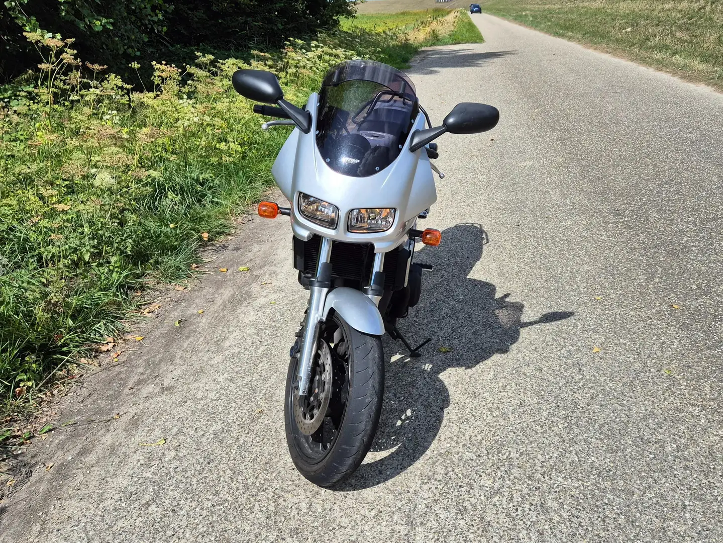 Yamaha FZS 600 70 KW Zilver - 2