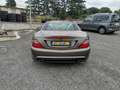 Mercedes-Benz SLK SLK 250 Premium AUTOMATICA PROMO WEB Grau - thumbnail 31